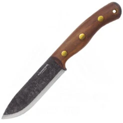 Condor Bisonte