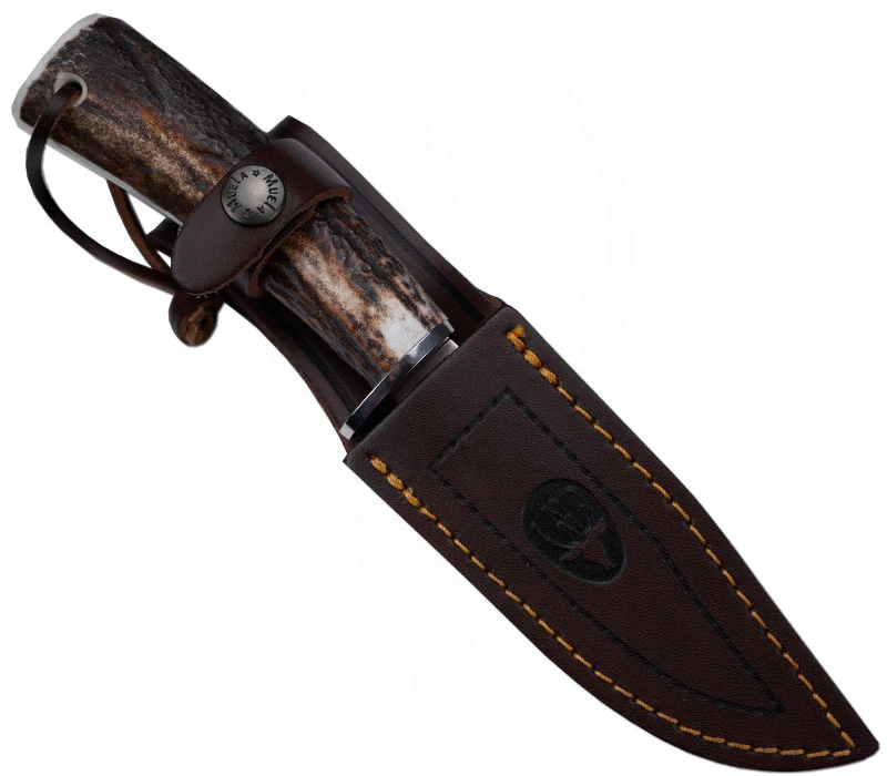 Braco Stag â Bild 2