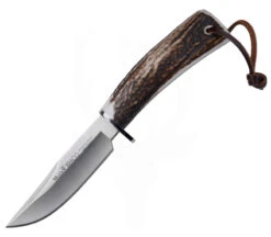 Braco Stag
