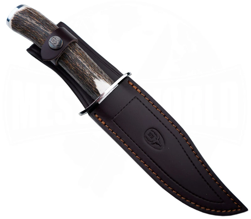 Gredos Stag 17 – Bild 2