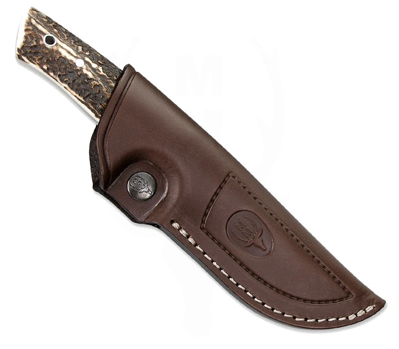 Kodiak Hirschhorn – Bild 2