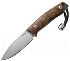 M1 Walnut