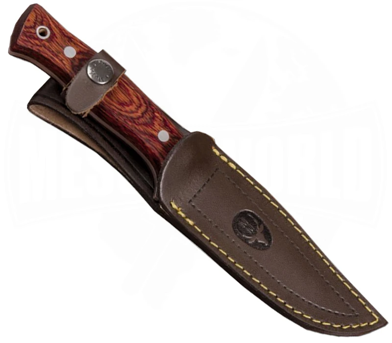 Pointer Wood â Bild 2