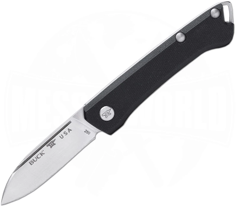 Buck Knives Saunter Droppoint Black