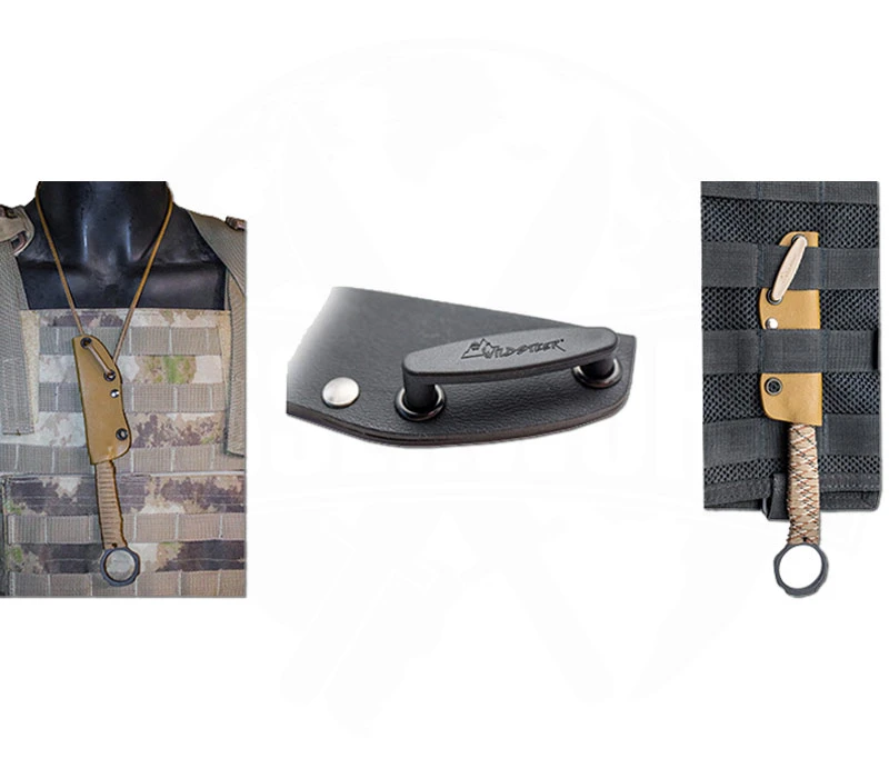 Scorpion Desert – Bild 3