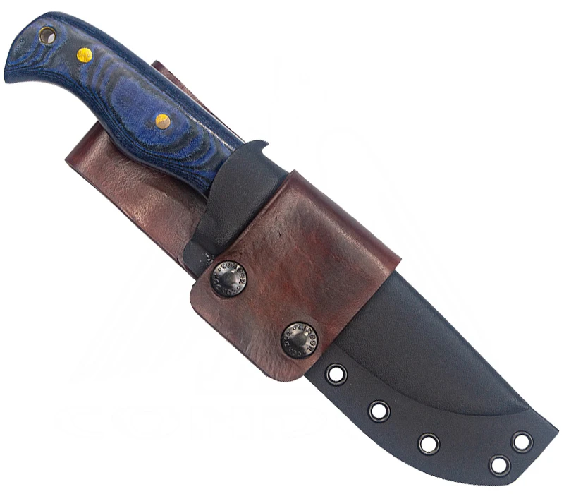 Condor Blue Havoc â Bild 2