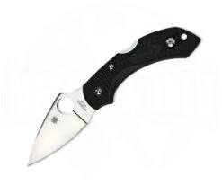 Spyderco Dragonfly 2 FRN Black
